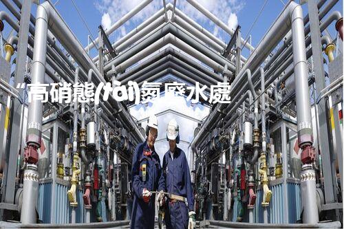 “高硝態(tài)氮廢水處理，綠色環(huán)保新篇章”